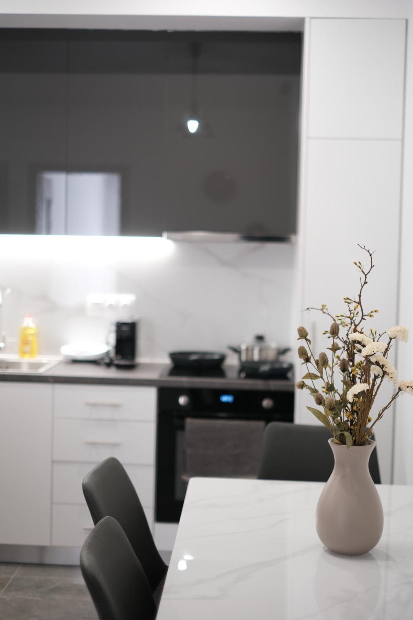 Apartment Cozy With Cooking Piraeus